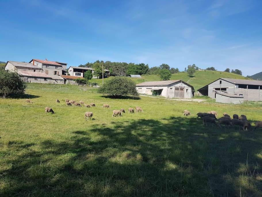 Gite Des Millets En Baronnies Rosans Exterior photo